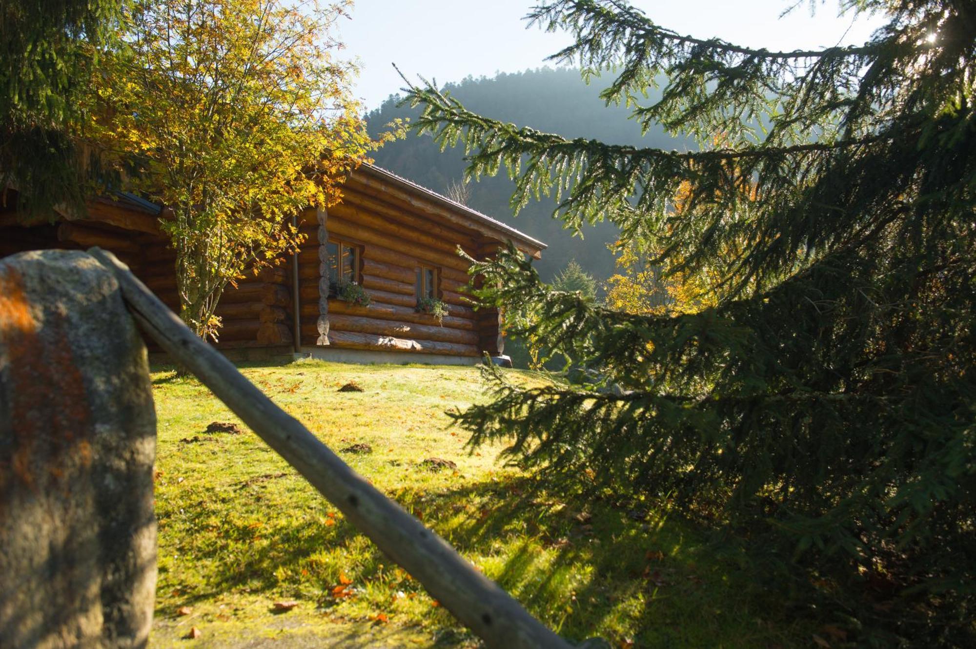 Le Couaroge Chalets Et Appartements La Bresse Exteriér fotografie