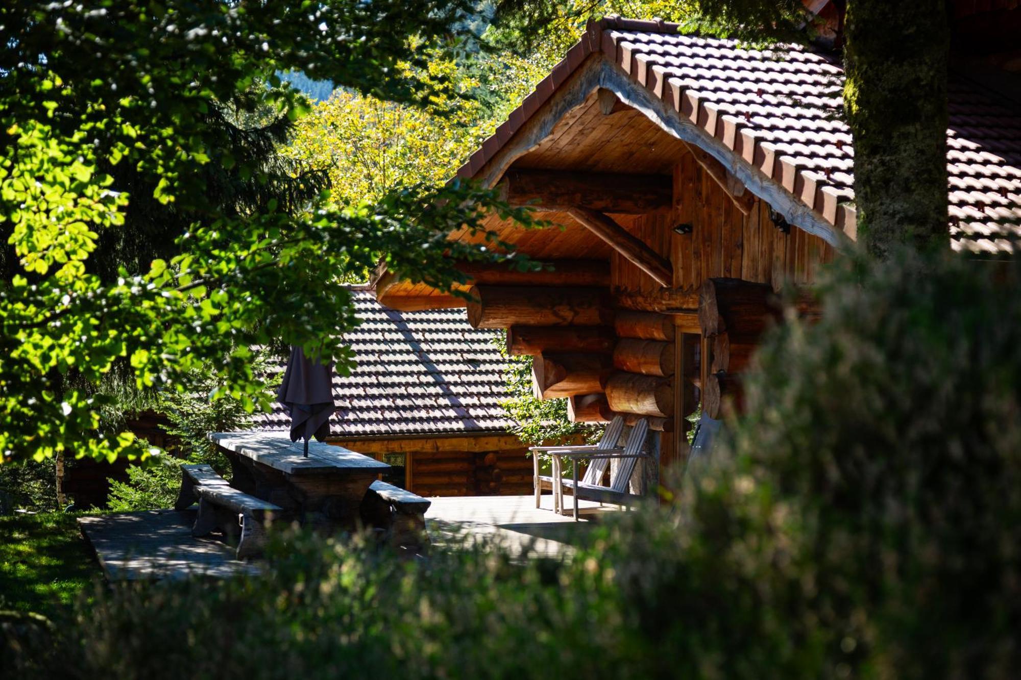 Le Couaroge Chalets Et Appartements La Bresse Exteriér fotografie